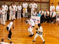 struct//3_galeria/91_reportaz/10str4taekw_brzeg.jpg
