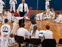 struct//3_galeria/91_reportaz/2str10taekw_brzeg.jpg
