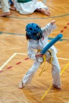 struct//3_galeria/91_reportaz/1str1taekw_brzeg.jpg