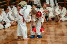 struct//3_galeria/91_reportaz/13str16taekw_brzeg.jpg