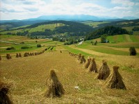 struct//3_galeria/11_architektura/23pejzaz_pole_pieniny.jpg