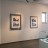 struct//2_oferta/1_google/_121 Wieża Ratuszowa, Świdnica/DSC_8771.jpg