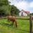 struct//2_oferta/1_google/_076 Ślężański Młyn Zagroda Turystyczna, Szczepanów/DSC_3729.jpg