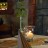 struct//2_oferta/1_google/_004 BISTRO-CLUB, Brzeg Dolny/DSC_5617.jpg