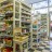 struct//2_oferta/1_google/_165 biogo.pl - sklep ze zdrową żywnością, Wrocław/DSC_0352a.jpg